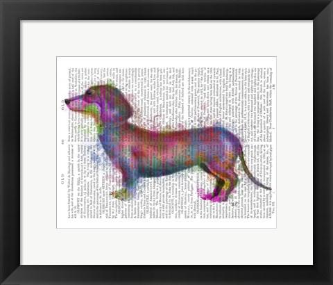 Framed Dachshund Rainbow Splash 1 Print