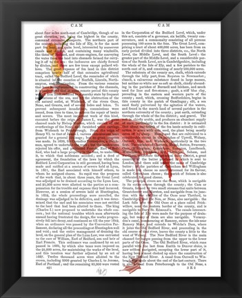 Framed Flamingo and Cocktail 4 Print