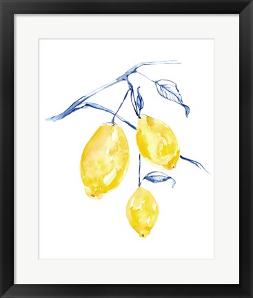 Framed Watercolor Lemons I Print