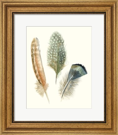 Framed Watercolor Feathers I Print