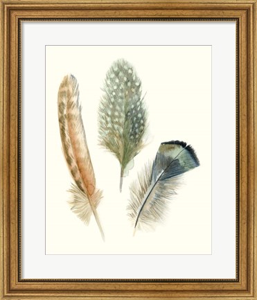 Framed Watercolor Feathers I Print