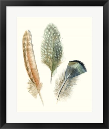 Framed Watercolor Feathers I Print