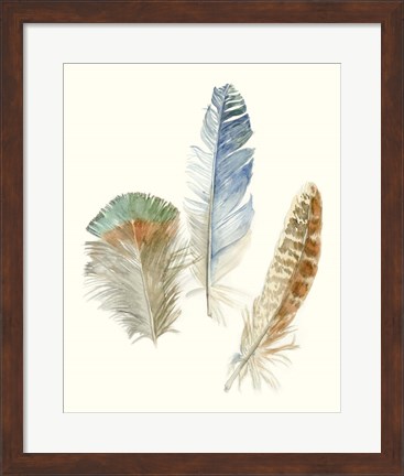 Framed Watercolor Feathers III Print