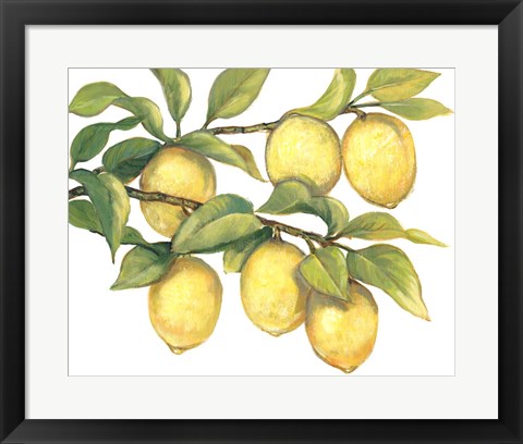 Framed Ripe for Picking II Print