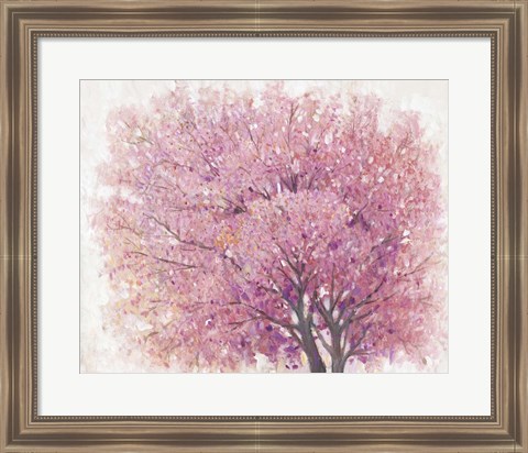 Framed Pink Cherry Blossom Tree II Print