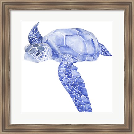 Framed Ultramarine Sea Turtle I Print