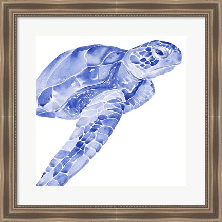 Framed Ultramarine Sea Turtle II Print