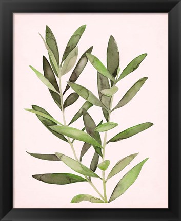 Framed Soft Pink Leaves II Print