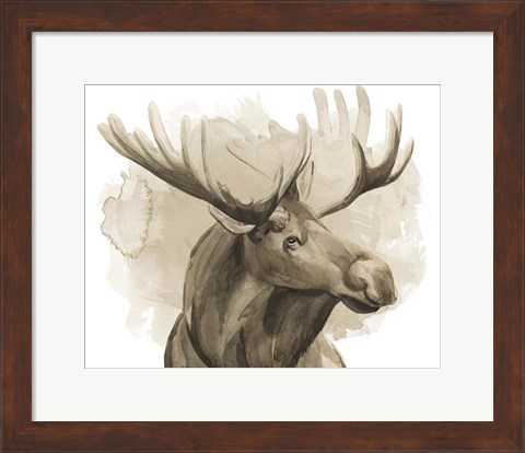 Framed Bull Moose I Print