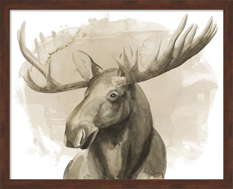 Framed Bull Moose II Print