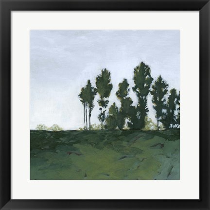 Framed Northern Coppice II Print