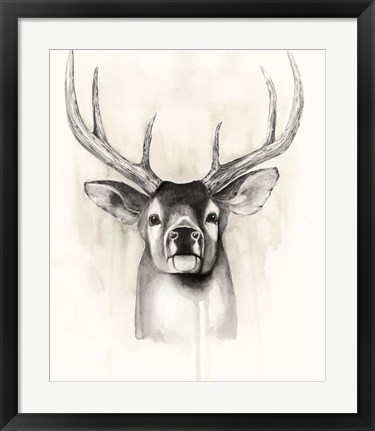 Framed Timberland Animals II Print