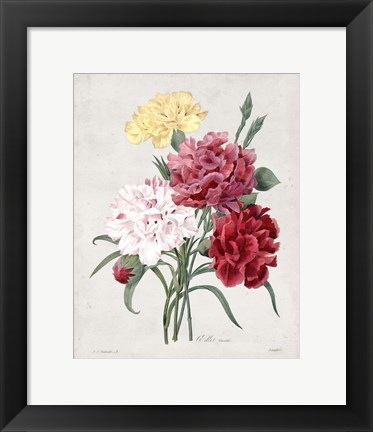 Framed Bouquet I Print