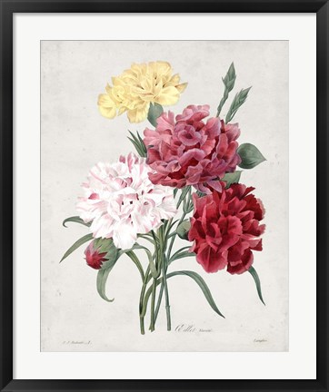 Framed Bouquet I Print