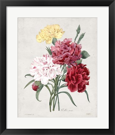 Framed Bouquet I Print