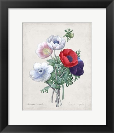 Framed Bouquet II Print