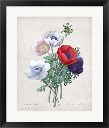 Framed Bouquet II Print