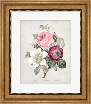 Framed Bouquet IV Print