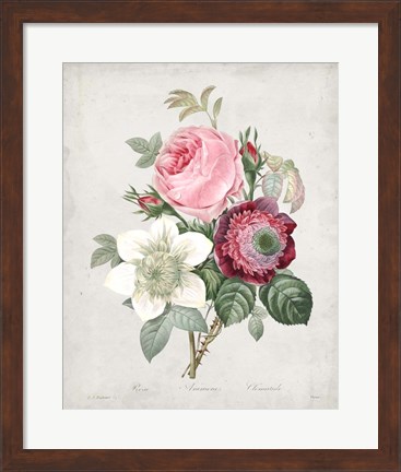 Framed Bouquet IV Print