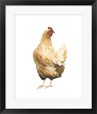 Framed Autumn Chicken III Print