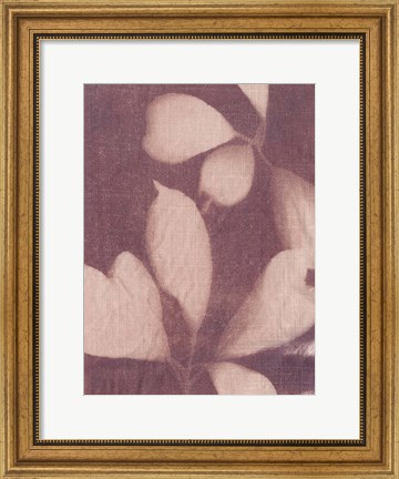 Framed Botanical Sun III Print