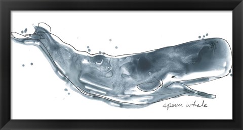 Framed Cetacea Sperm Whale Print