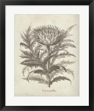 Framed Fresco Artichoke I Print