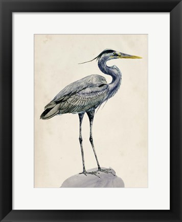 Framed Blue Heron Rendering I Print