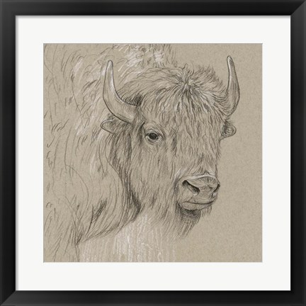 Framed Bison Sketch I Print