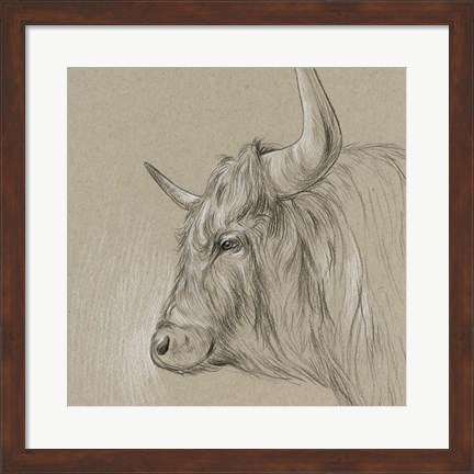 Framed Bison Sketch II Print