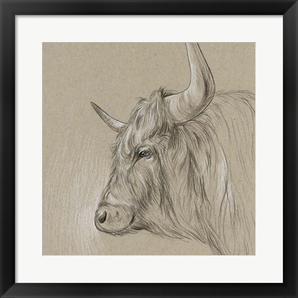 Framed Bison Sketch II Print