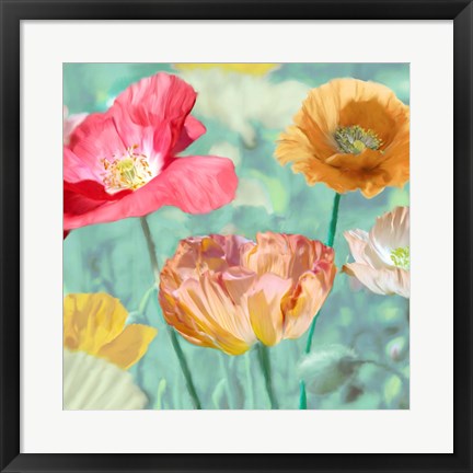 Framed Poppies in Bloom II Print