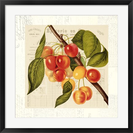 Framed Cerises Print