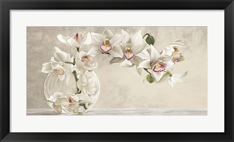 Framed Orchid Arrangement I Print