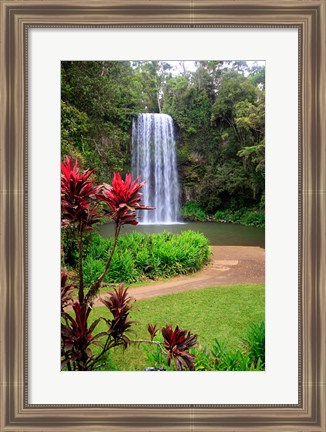 Framed Millaa Millaa Falls, Queensland, Australia Print