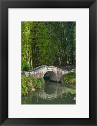 Framed Chinese Scholar&#39;s Garden, North Island, New Zealand Print