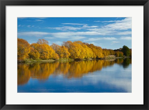 Framed Autumn Colour And Clutha River At Kaitangata, South Island, New Zealand Print