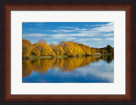 Framed Autumn Colour And Clutha River At Kaitangata, South Island, New Zealand Print