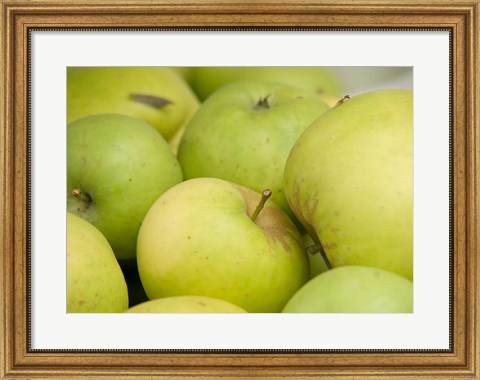Framed Canada, British Columbia, Cowichan Valley Close-Up Of Green Apples Print