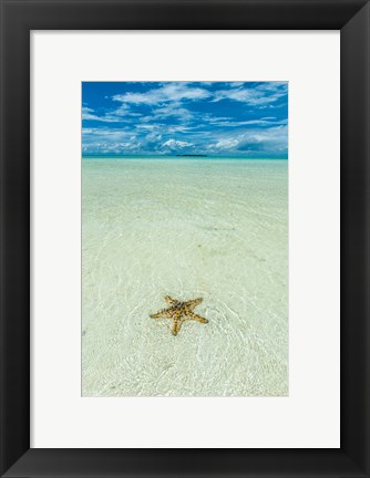 Framed Sea Star In The Sand On The Rock Islands, Palau Print