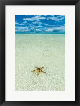 Framed Sea Star In The Sand On The Rock Islands, Palau Print