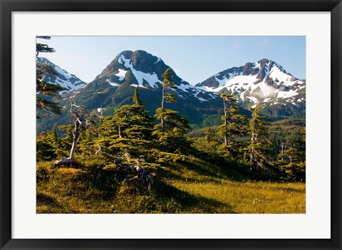 Framed Mount Eccles Near Cordova, Alaska Print