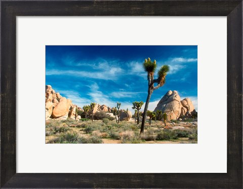 Framed Joshua Trees With Granite Rocks Print