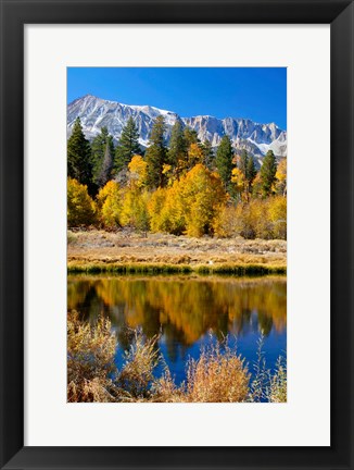 Framed Yosemite&#39;s Mount Dana Print