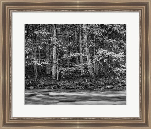 Framed California, Yosemite (BW) Print