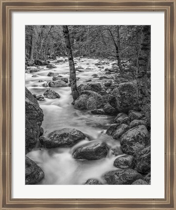 Framed Yosemite Happy Isles, California (BW) Print