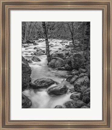 Framed Yosemite Happy Isles, California (BW) Print