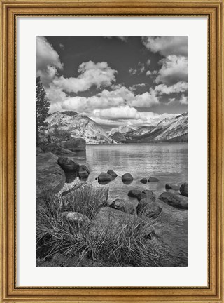 Framed California, Lake Tenaya (BW) Print