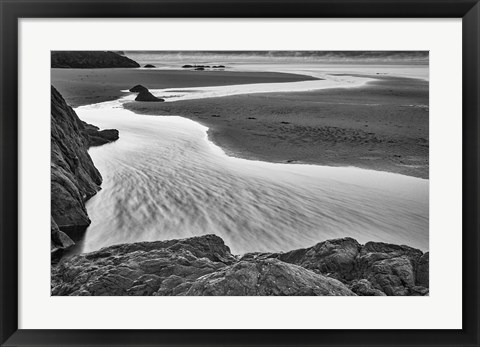 Framed California, Mendocino Jughandler Creek (BW) Print