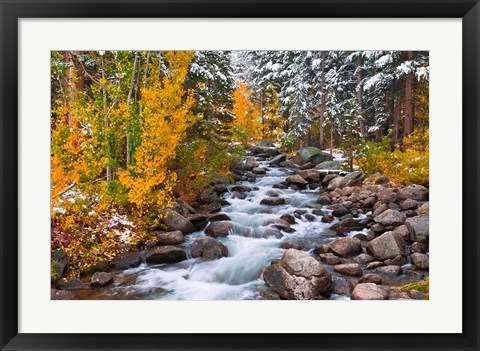 Framed Fresh Snow Along Bishop Creek Print